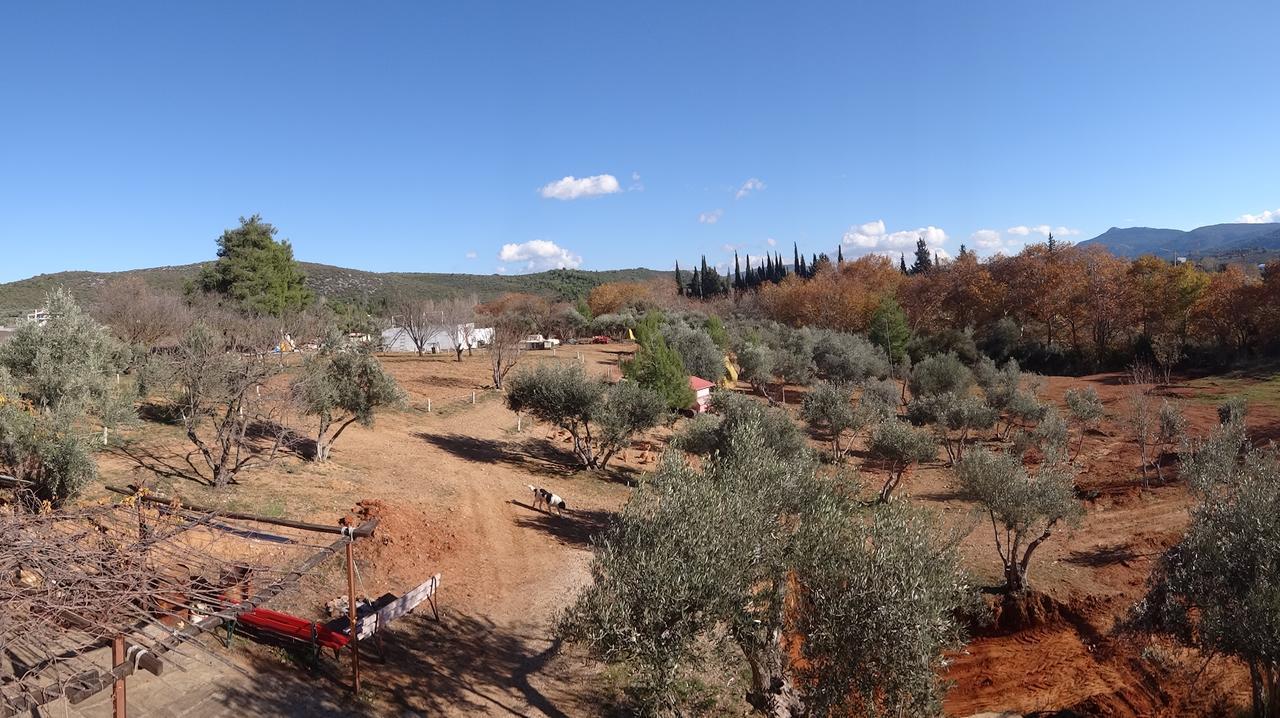 Villa Relax In 'Crazy Farm' Asprokhorion Exterior foto
